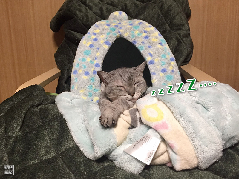 天然猫の寿喜