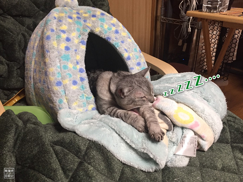 天然猫の寿喜