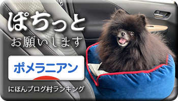 にほんブログ村