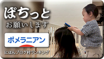 にほんブログ村