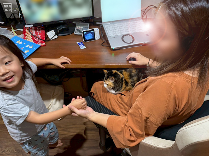 ツンデレ三毛猫の稚葉