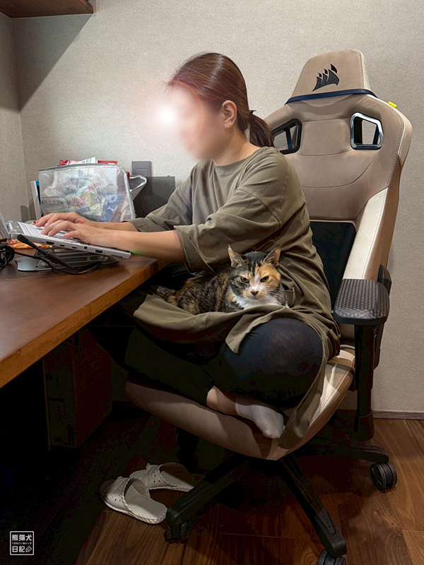 ツンデレ三毛猫の稚葉