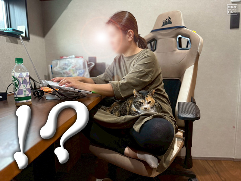 ツンデレ三毛猫の稚葉