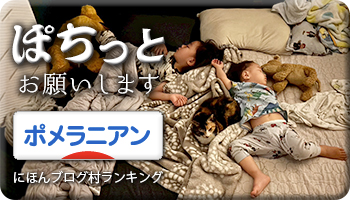 にほんブログ村