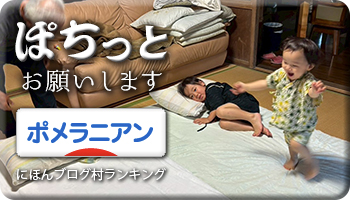 にほんブログ村