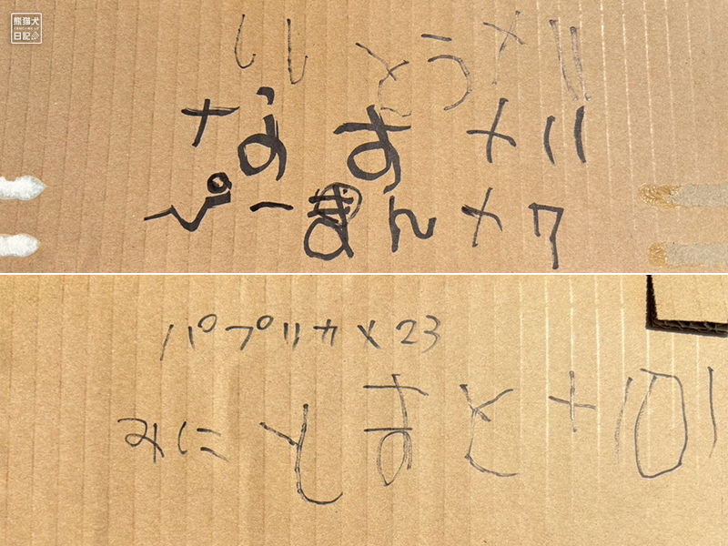 祖父と孫の野菜収穫
