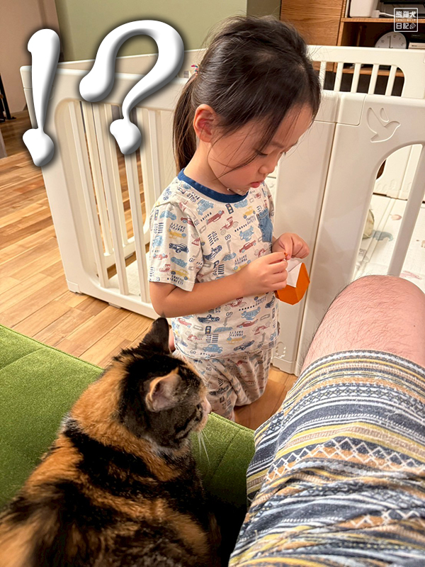 ツンデレ三毛猫と四歳児