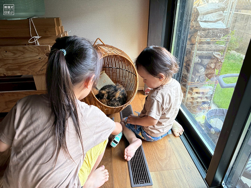 三毛猫を触る子供たち