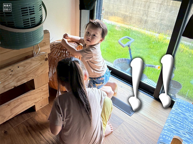 三毛猫を触る子供たち