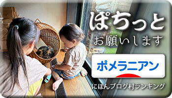 にほんブログ村