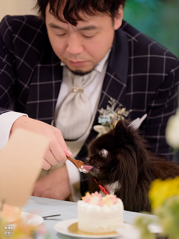 嫁女房との犬連れ結婚式