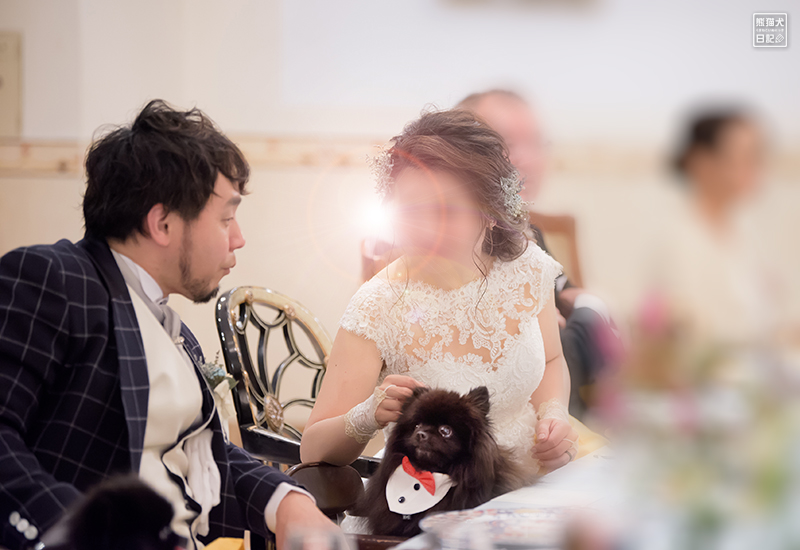 嫁女房との犬連れ結婚式