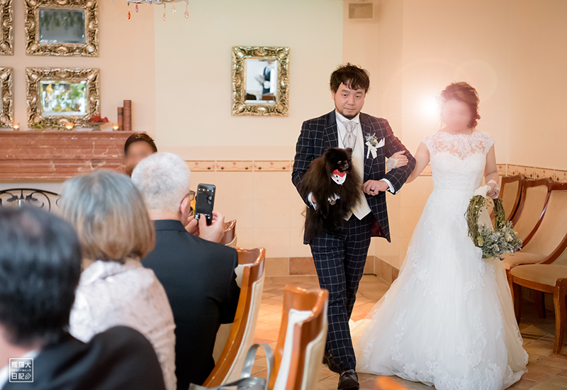 嫁女房との犬連れ結婚式