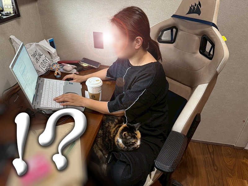 ツンデレ三毛猫の稚葉