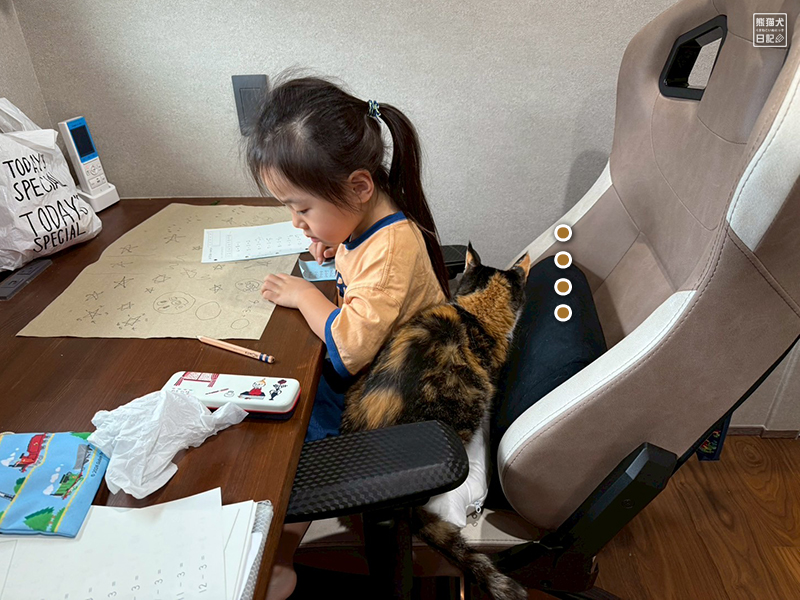 ツンデレ三毛猫の稚葉