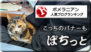 にほんブログ村