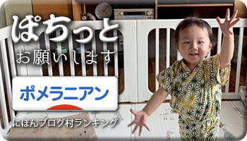 にほんブログ村