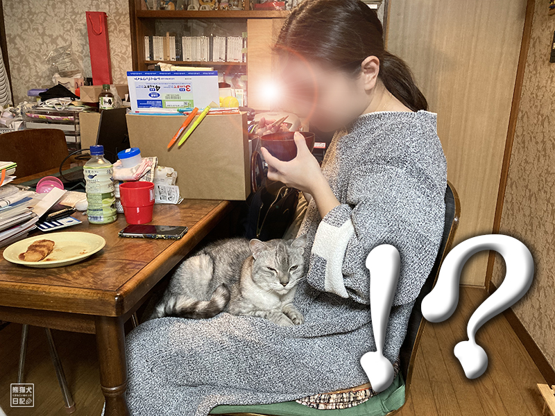天然猫の寿喜と嫁女房