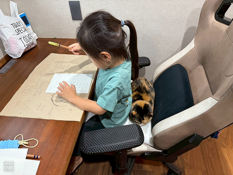 小倅とツンデレ三毛猫の稚葉