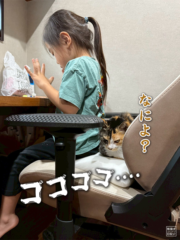 小倅とツンデレ三毛猫の稚葉