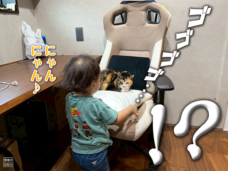 小童とツンデレ三毛猫の稚葉