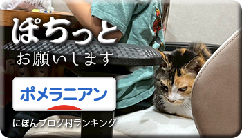 にほんブログ村