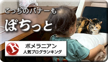 人気ブログランキング