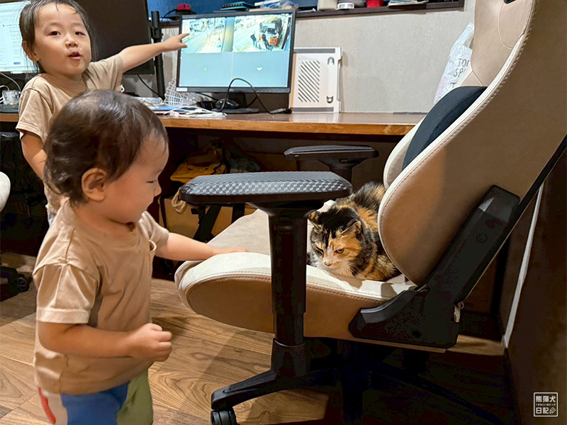 小童とツンデレ三毛猫の稚葉