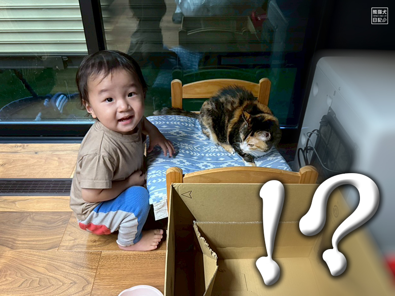 小童とツンデレ三毛猫の稚葉