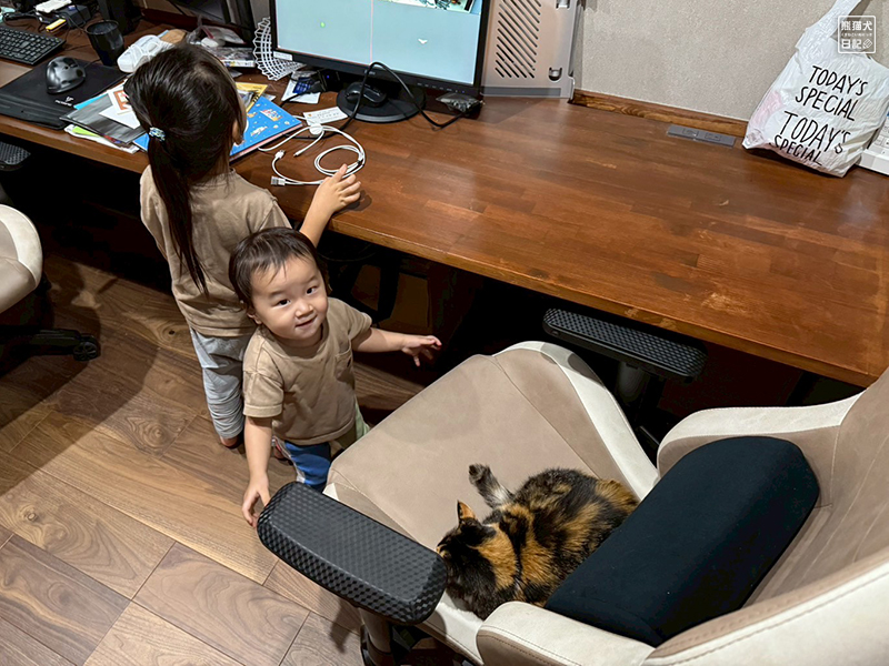 小童とツンデレ三毛猫の稚葉