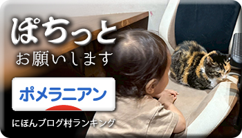 にほんブログ村