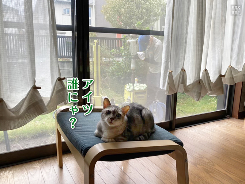 寿喜と地盤調査