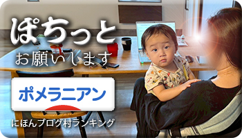 にほんブログ村