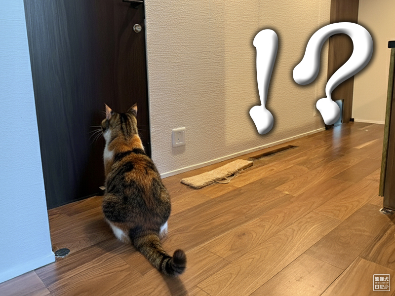 ツンデレ三毛猫の稚葉