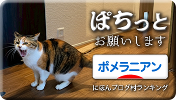 にほんブログ村
