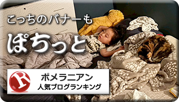 人気ブログランキング