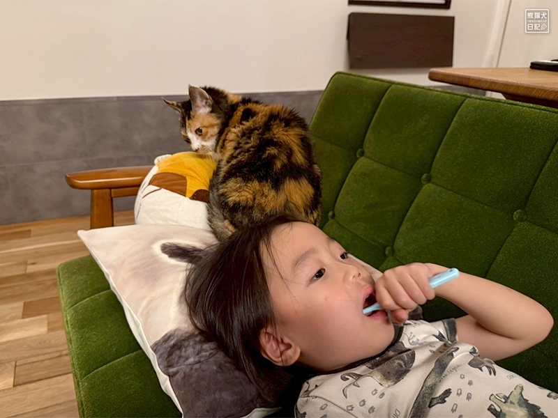 ツンデレ三毛猫の稚葉と小倅
