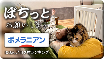 にほんブログ村