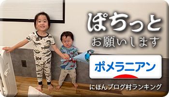 にほんブログ村