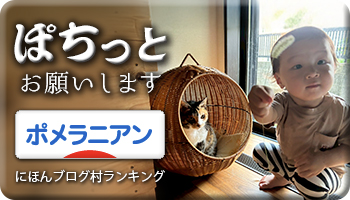 にほんブログ村