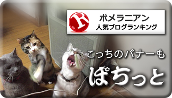 人気ブログランキング