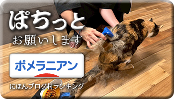にほんブログ村
