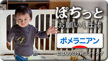 にほんブログ村