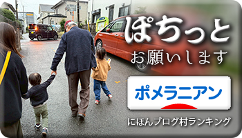にほんブログ村