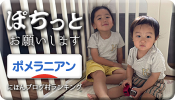 にほんブログ村