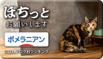 にほんブログ村