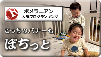 人気ブログランキング