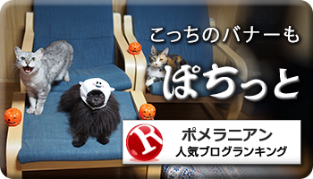 人気ブログランキング