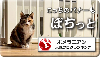 人気ブログランキング