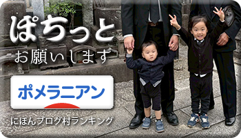 にほんブログ村